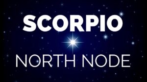 North Node in Scorpio